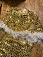 Costume, Golden, Adult S-M