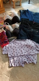 Woman Clothing 2X