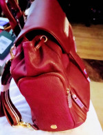 DKNY backpack