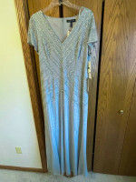 Women’s brand new size 14 gown