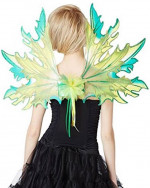 Fairy Wings