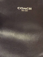 Coach Leather Molly Purse