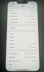 iPhone Pro Max 13 256GB unlocked