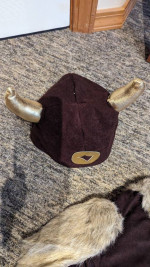 Costumes: Viking and more...