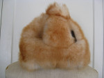 Real Fur, fox, hats INDIVIDUALLY PRICED
