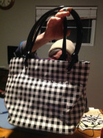 Shiny Vinyl Tote Bag