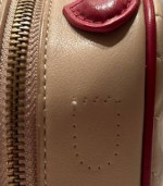 Gucci Purse