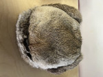 (2) rabbit fur Ushanki Ukranian hats