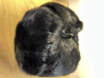 (2) rabbit fur Ushanki Ukranian hats