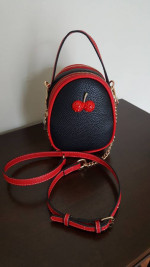 brand new crossbody handbag / purse