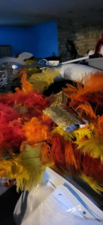 las vegas showgirl costume