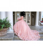 Anitas Bridal Quinceañera Dress