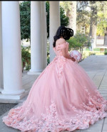 Anitas Bridal Quinceañera Dress