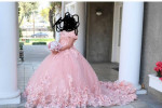 Anitas Bridal Quinceañera Dress