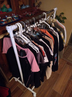 Huge Collection of Ladies Harley Davidson Shirts
