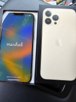 iPhone 13 Pro Max Unlocked 1 TB of Storage