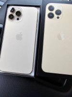 iPhone 13 Pro Max Unlocked 1 TB of Storage