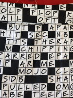 NWT Loudmouth Skort, crossword theme, size 14