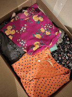 Large Women’s Clothing Lot