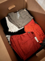 Large Women’s Clothing Lot