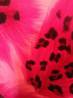 TWO PIECE ANIMAL PRINT Size 5
