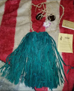 Hawaiian hula girl costume outfit