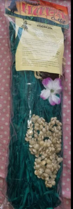 Hawaiian hula girl costume outfit