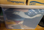 Tote of woman's 2-3x clothing