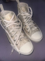 Dior High tops