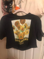 Large vans croptop