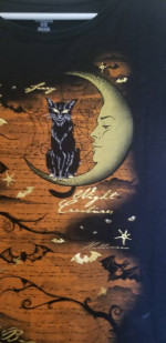 Way to Celebrate Halloween Black Cat Moon Graphic Short Sleeve Top Wom