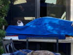 Kawasaki Jetski cover and stand