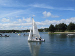 Two C420 Sailboats