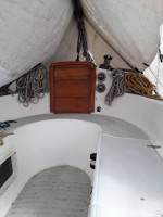 Freedom 29 cat sloop