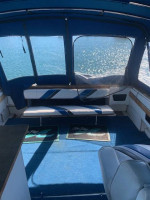 270 Sea Ray Amberjack