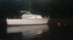 1965 ChrisCraft connie 28'. DoubleTarp=dry decks. 5.7L antifreeze $600