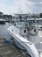 2007 24' Proline Walk