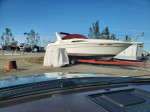 Sea Ray 1993 33' EC (New Lowered Price)