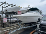 1998 Wellcraft 26 SE Martinique