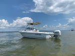 1997 Sunbird Neptune 230