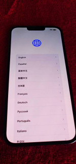 iPhone 13 Pro Max Unlocked