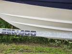 2007  310HP SEADOO 230 Challenger  Bowrider jetboat 12 seat