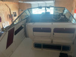 Sea Ray