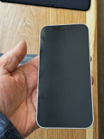 IPhone 12 256g Unlocked Read description