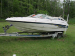 17' chapparral for sale