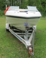 17' chapparral for sale