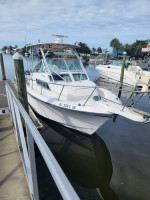 1999 Grady White 272 Sailfish