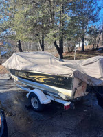 1999 sylvan 1700 pro select 17’