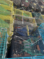 (130) Lobster traps- will sell in lots of 20