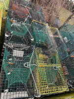 (130) Lobster traps- will sell in lots of 20